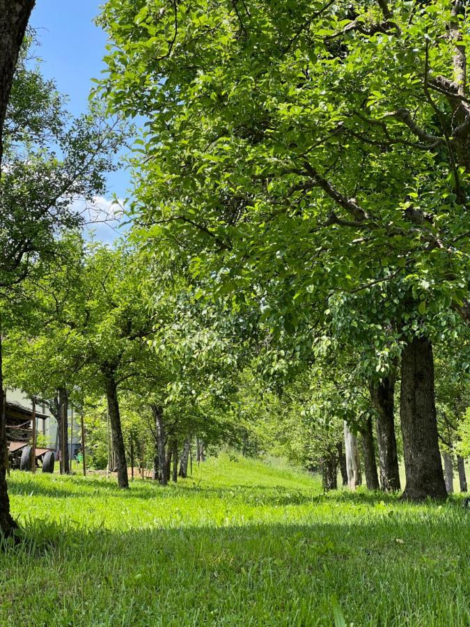 Ferienwohnung Mahar Feistritz im Rosental Eksteriør bilde